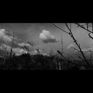 Meet your Posher, Merinna